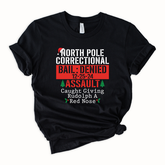 North Pole Correctional Assault